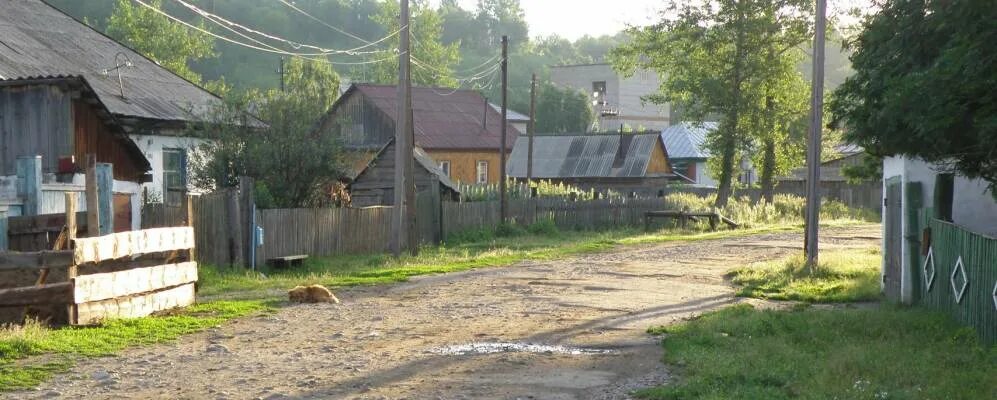 Погода в новиково алтайского края. Новиково Бийский район. Село Новиково Бийского района. Село Новиково Алтайский край Бийский район. Стахневы Алтайский край Бийский район село Новиково.