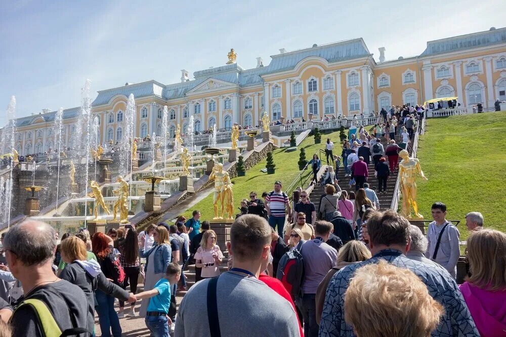 Где спб отзывы. Петергоф туристы. Петергоф Эрмитаж Метеор. Петергоф экскурсии. Питер Петродворец экскурсия.