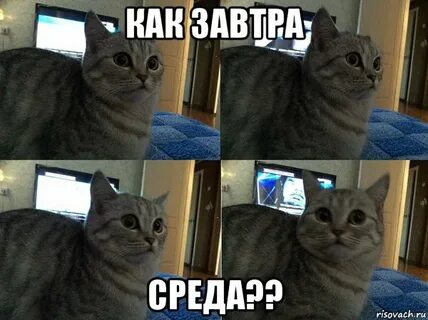 Завтра среда