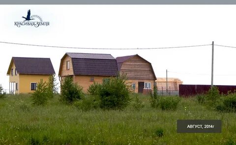 Днт отзывы