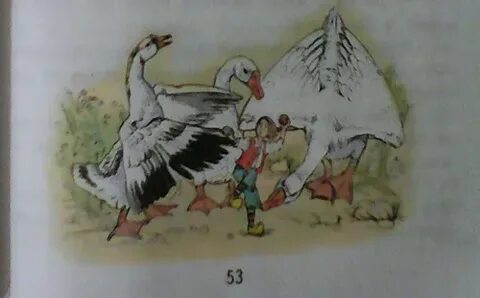 Гусь нильса 6