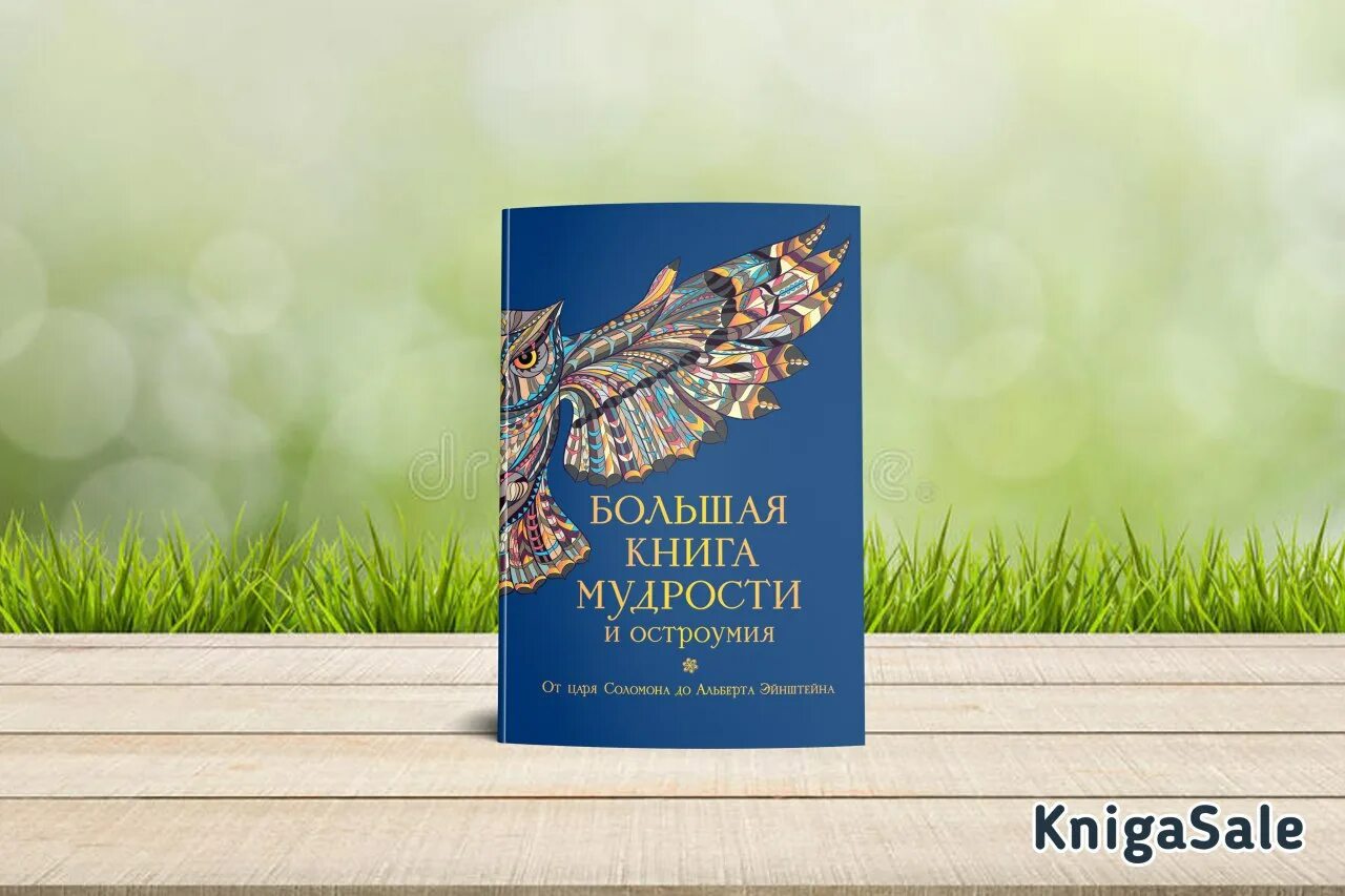 Читать мудрости. Книга мудрости обложка. Книга мудрости обложка. Читать мудрости. Читать мудрости.