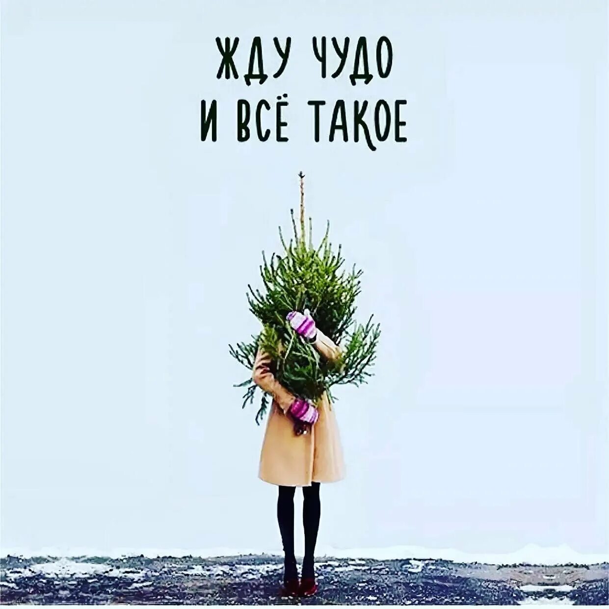 Все время мы ждем как чудо. Жду чудо и все такое. ждем новый год. цитаты про новый год. жду чуда новый год.