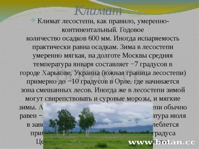 Климат лесостепи. Лесостепная зона климат. Климат лесостепи в России. Климатические условия лесостепи. Климат степей и лесостепей в россии