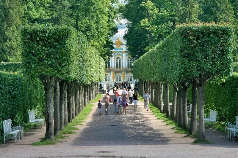 Три дня с Петербургом
