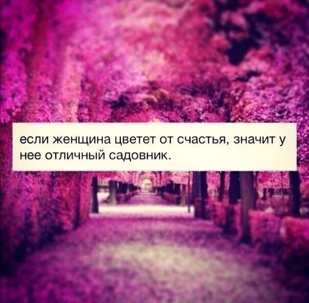 Малыш ты опоздал девочка расцвела