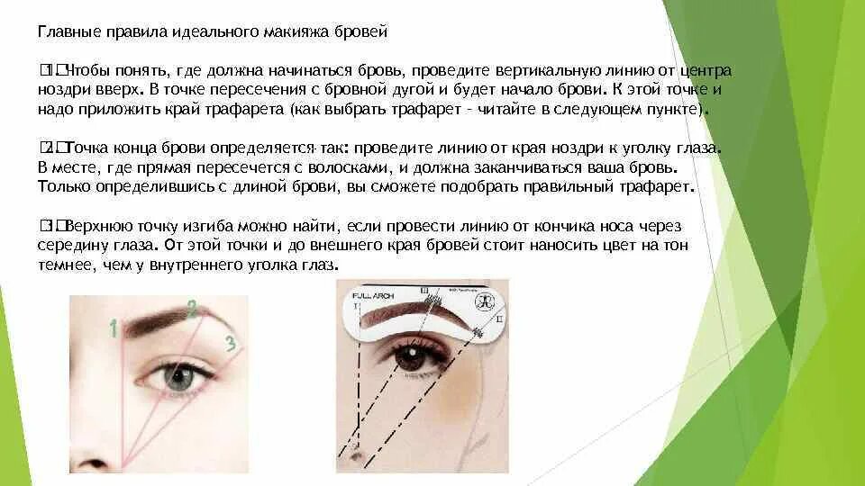Какую функцию выполняют брови. Архитектура бровей схема. где должна начинаться бровь. определить точка изгиба бровей. место изгиба брови.