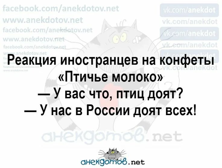 Реакция иностранцев. Птичье молоко доят птиц. реакция иностранцев на конфеты птичье молоко у вас. анекдот про птичье молоко. у вас что птиц доят.