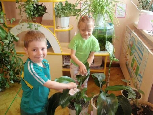 Старшая группа экологическое воспитание детей. Экологическое воспитание дошкольников. Старшая группа экологическое воспитание детей. Экологическое воспитание дошкольников в доу. Экологическое воспитание детей.