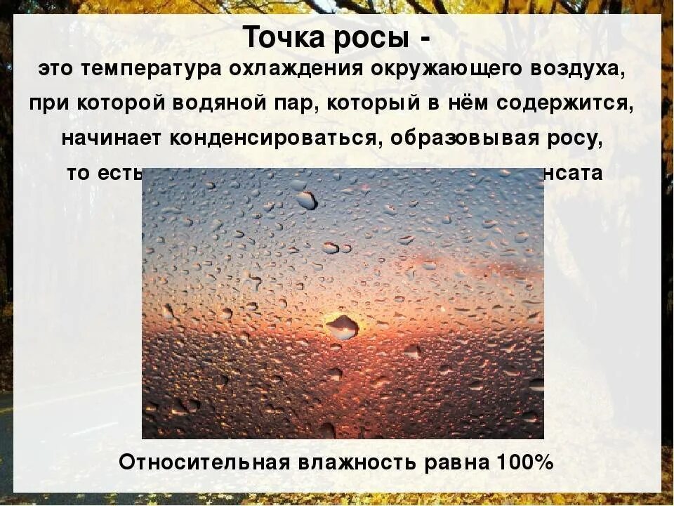 Что такое точка росы в погоде. Точка росы. температура точки росы. точка росы физика. точка росы это в физике.