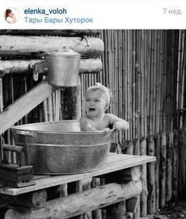 Тары бары адлер