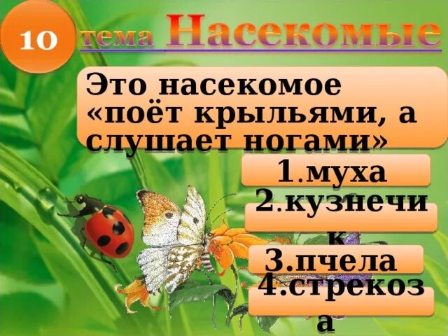 Пою крыльями слушаю ногами. Какое насекомое поет крыльями а слушает ногами. Это насекомое поёт крыльями а слушает ногами кто это. Как поют насекомые примеры. Какое насекомое поет крыльями.