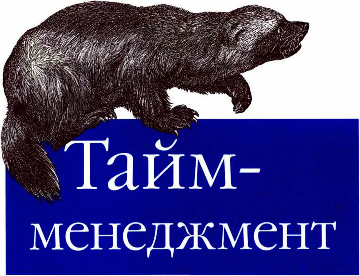 Тайм менеджмент для администратора книга. Сетевое и системное администрирование. Технологии иллюстрация. Тайм-менеджмент для системных администраторов книга. Специалист в области телекоммуникаций.