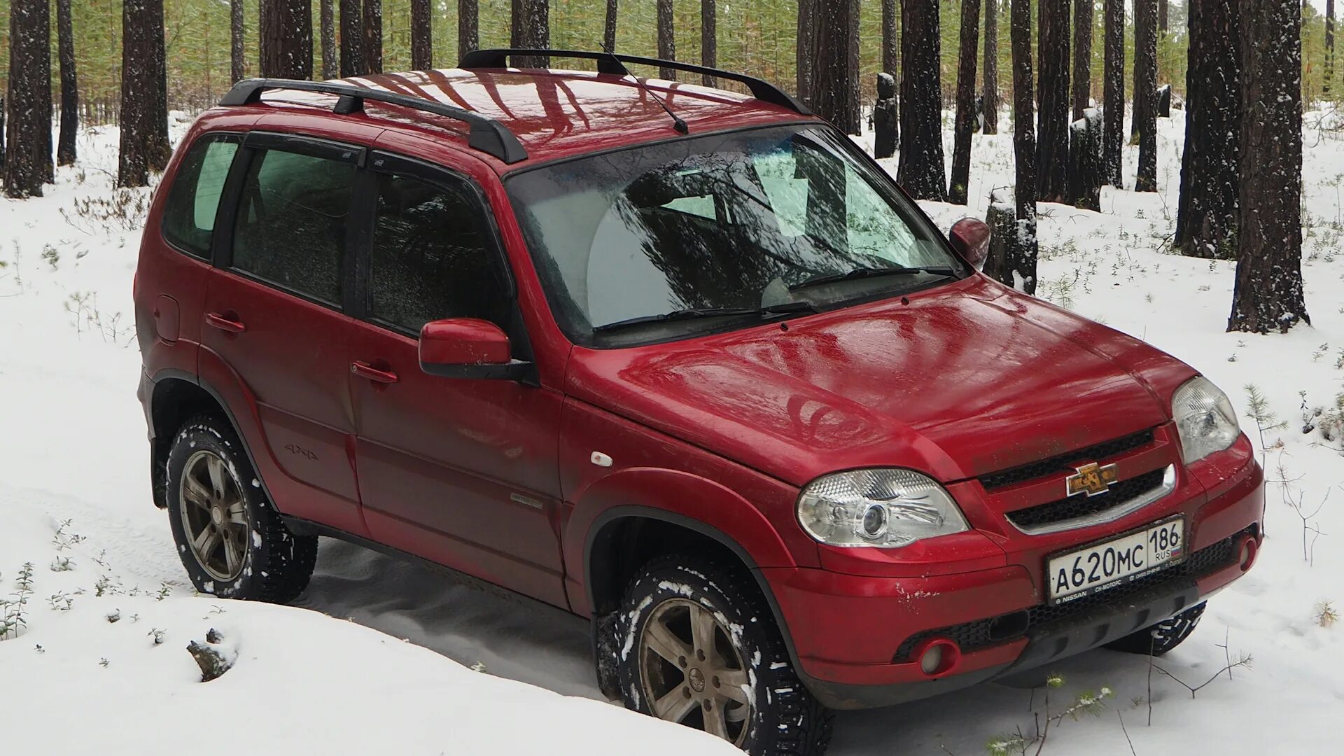 Купить шеви б у. Chevrolet Niva Red. Шевроле Нива 2005 красный. Нива Шевроле 2012 красная. Chevrolet Niva 2003 красная.