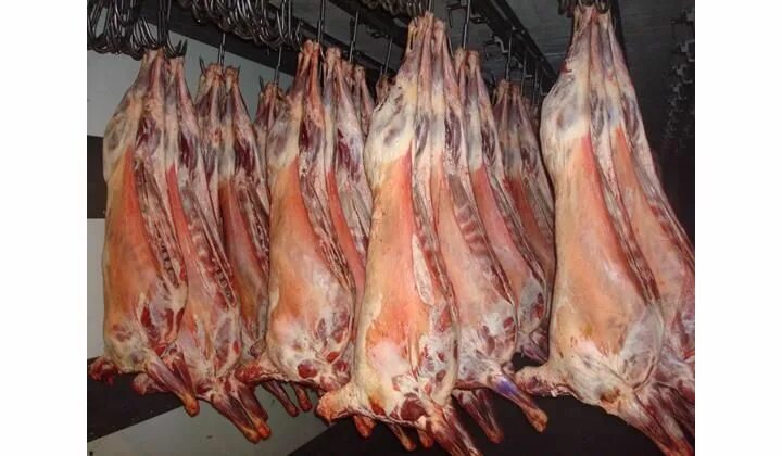 Авито мясо баранины