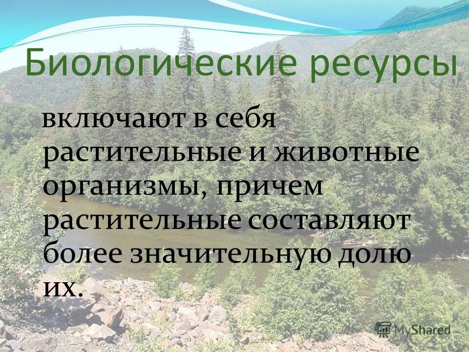 Биологические ресурсы. Биологические природные ресурсы. Растительные биологические ресурсы. Биологические природные ресурсы презентация.