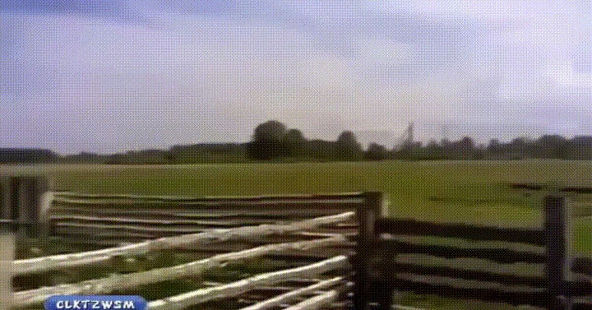 Сельский паркур. Деревенские видео фото. Самое первое видео в мире. Короткие видео.