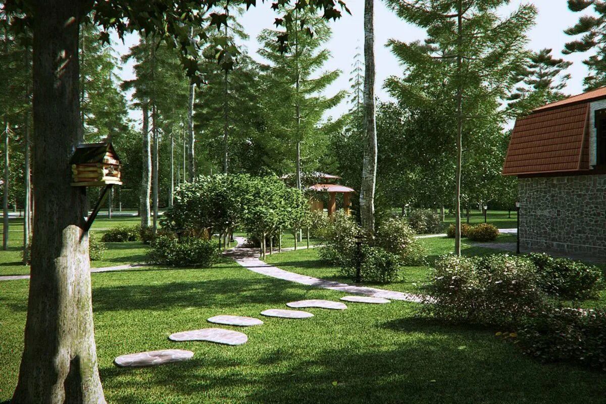 Гарден фореста ландшафт. Создание лесного участка. Васецкий илья ландшафтный дизайнер. Благоустройство «лес на реке самородинке». Сосны на участке.