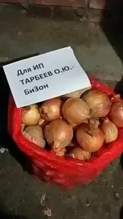 Лук оптом ставропольский край