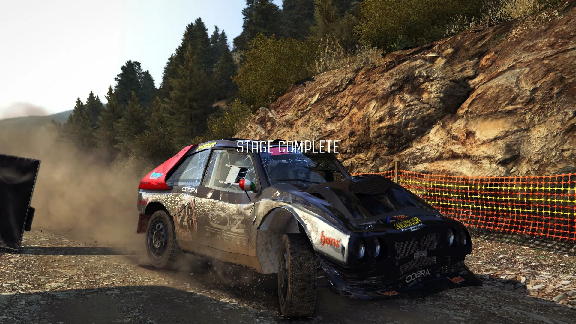 Dirt 2.0 купить