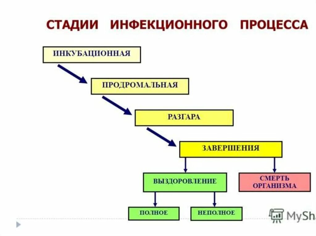 Этапы развития заболевания. Периоды течения инфекционных заболеваний схема. Стадии течения инфекционного процесса. Схема периоды развития инфекционных заболеваний. Периоды инфекционных болезней схема.