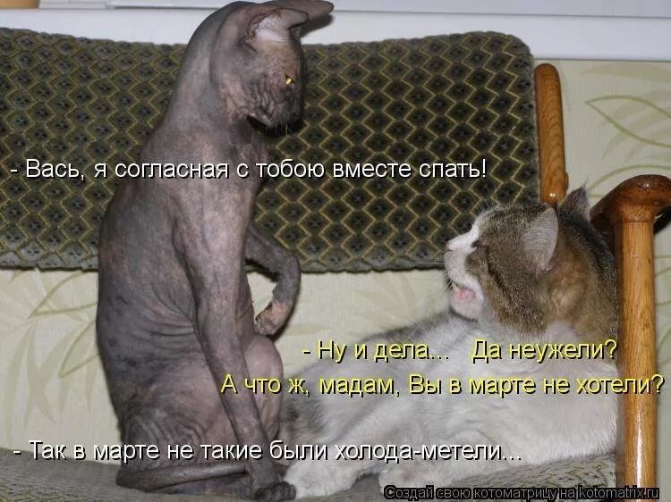 И его можно было