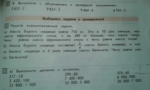 Решите задачу определите вес бурого медведя