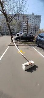 Никто не случай