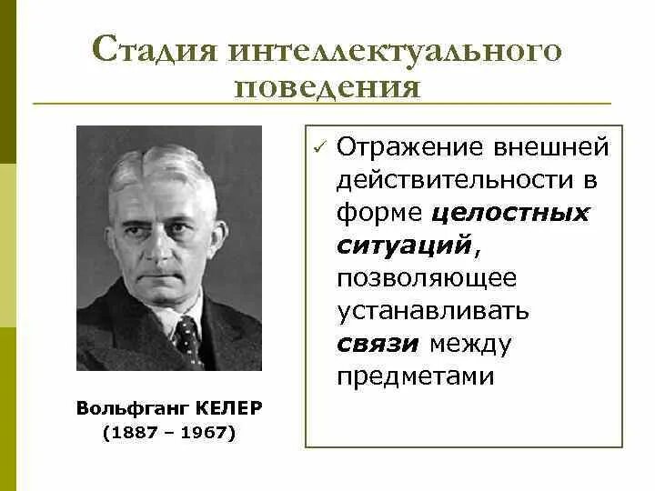 Формы интеллектуального поведения животных. Стадия интеллектуального поведения. вольфганг кёлер. формы интеллектуального поведения. стадии интеллекта особенности поведения.