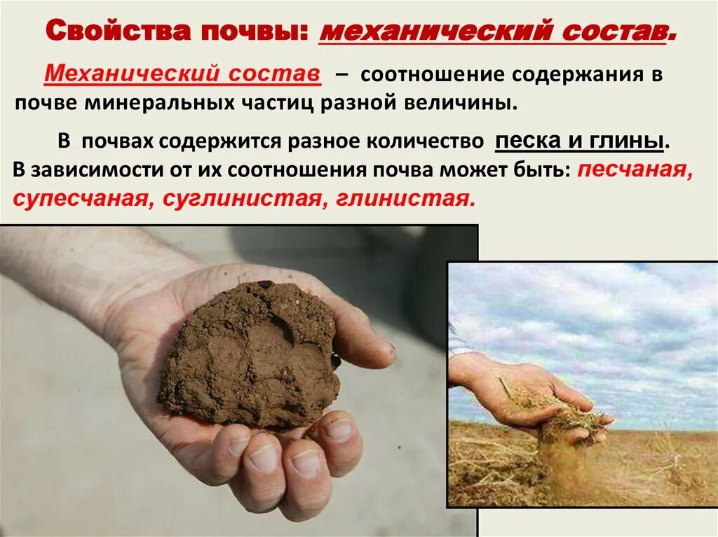 Состав почвы. Свойства почвы. Почвы и почвенные ресурсы России. Сообщение о свойствах почвы. Исследование свойств почвы.