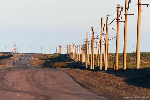 По обе стороны дороги стояли столбы