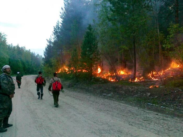 кедровый ханты-мансийский район. город нягань тюменская область. город югорск ханты-мансийский автономный округ. хмао нефтеюганский район поселок сингапай. приполярный поселок хмао.