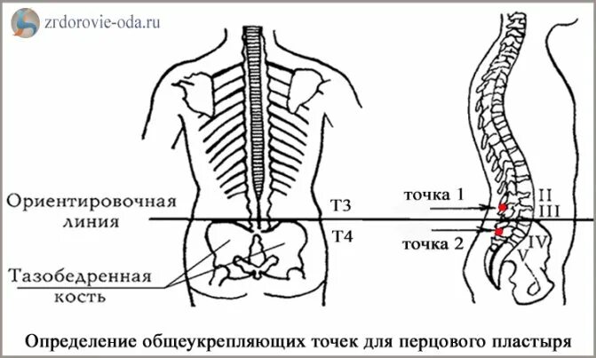 Точки на пояснице. Точки поясничного отдела. Т3 т4 позвонки схема. Позвоночник т4. Общеукрепляющие точки.