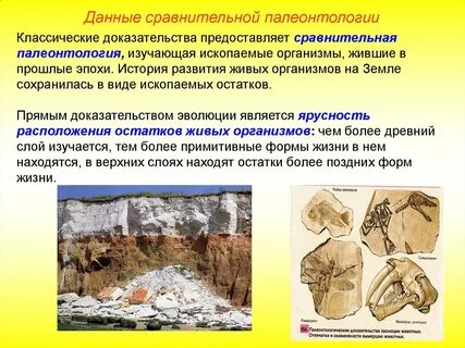 Палеонтология и ее методы