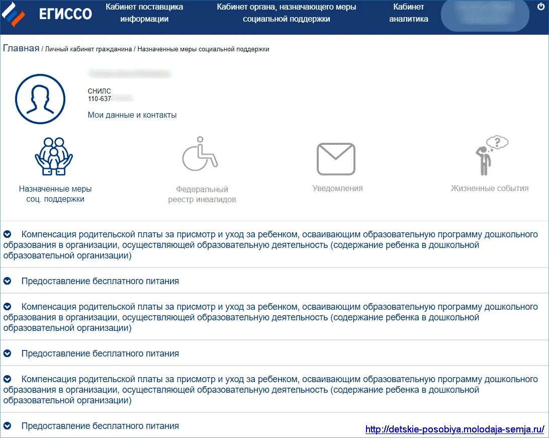 Назначенные пособия проверить. ЕГИССО личный кабинет. Личный кабинет. ЕГИССО госуслуги. ЕГИССО.ру.