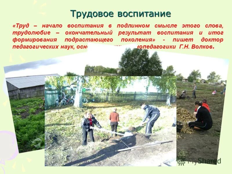 Трудовом воспитание обучающихся