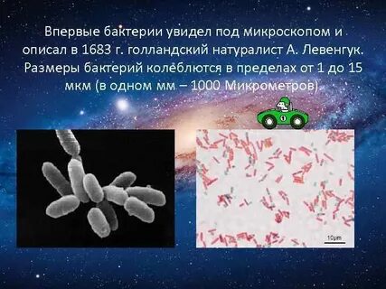 Микроскоп увидеть бактерии