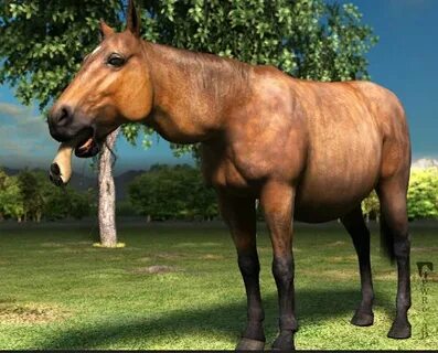 Vore horse part 1 by vore88 on DeviantArt.