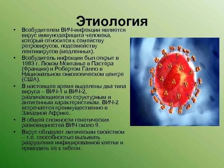 Инфекция вызванная вирусом иммунодефицита человека вич. Этиология морфология возбудителя ВИЧ. Возбудитель заболевания СПИД вирус. Структура вируса иммунодефицита человека ВИЧ 1 ВИЧ 2. Вирус ВИЧ микробиология.