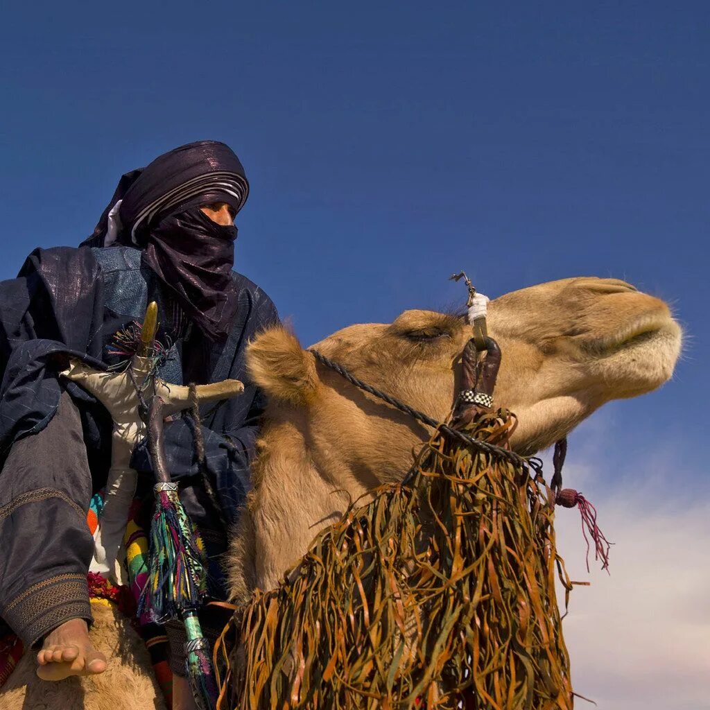 Верхняя одежда бедуинов 6 букв. Берберы туареги бедуины. Туареги племя кочевников Африки. Туареги Марокко бедуины. Бедуины Саудовской Аравии.