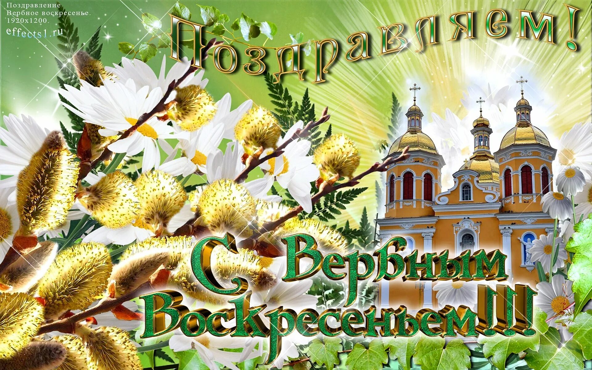 Вербное воскресение 23