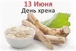 День хрена