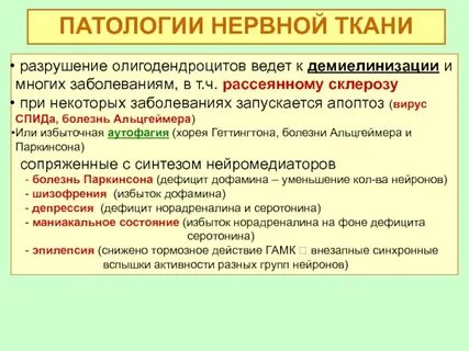 Обмен тканей
