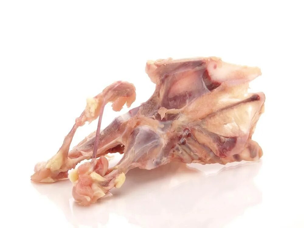 утиные кости