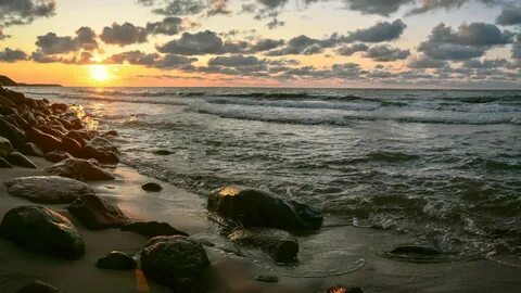 Балтийское море жители
