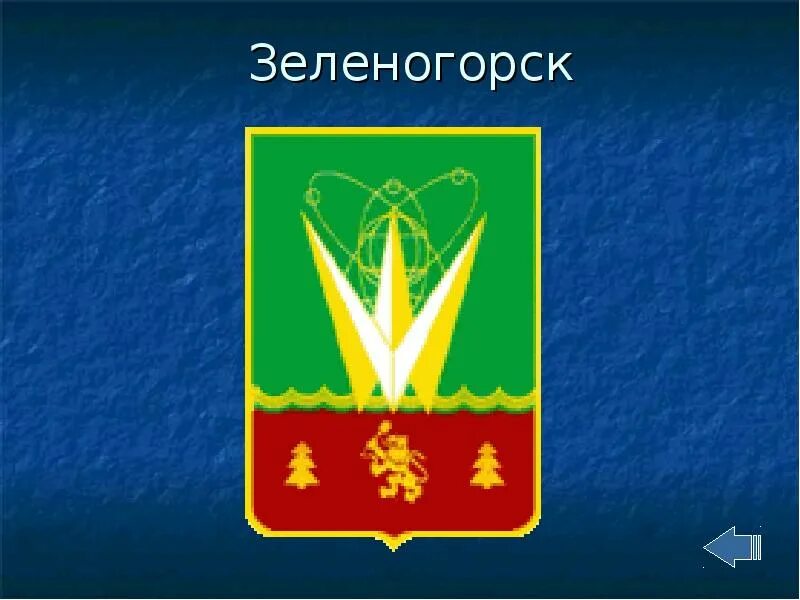 Герб региона красноярского края. Гербы городов Красноярского края. Герб Железногорска Красноярского края. Гербы городов Красноярского края презентация. Герб Енисейска Красноярского края.