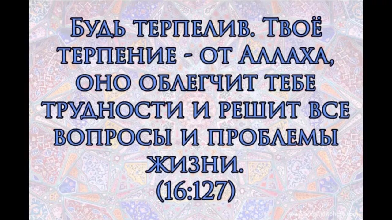 Огромное терпение. Терпение в Исламе. Хадисы о терпении. Терпение в Коране. Терпение в Исламе цитаты.