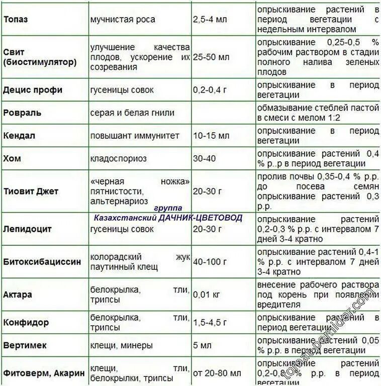 Вегетация растений опрыскивание. Таблица подкормки помидор в теплице. Таблица поэтапного внесения удобрений для томатов. Таблица удобрений для помидор. Таблица подкормки и обработки томатов в теплице.