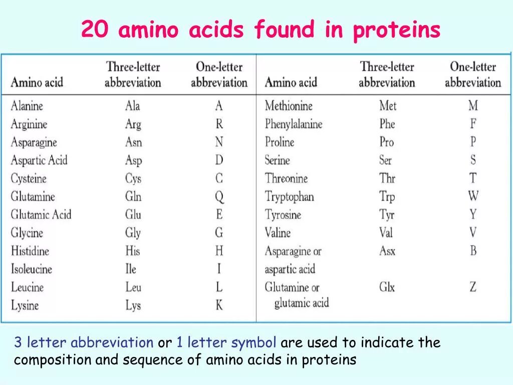 Acid notation игра. 20 amino acids. amino acid one letter. amino acid single letter code. amino acid abbreviations.