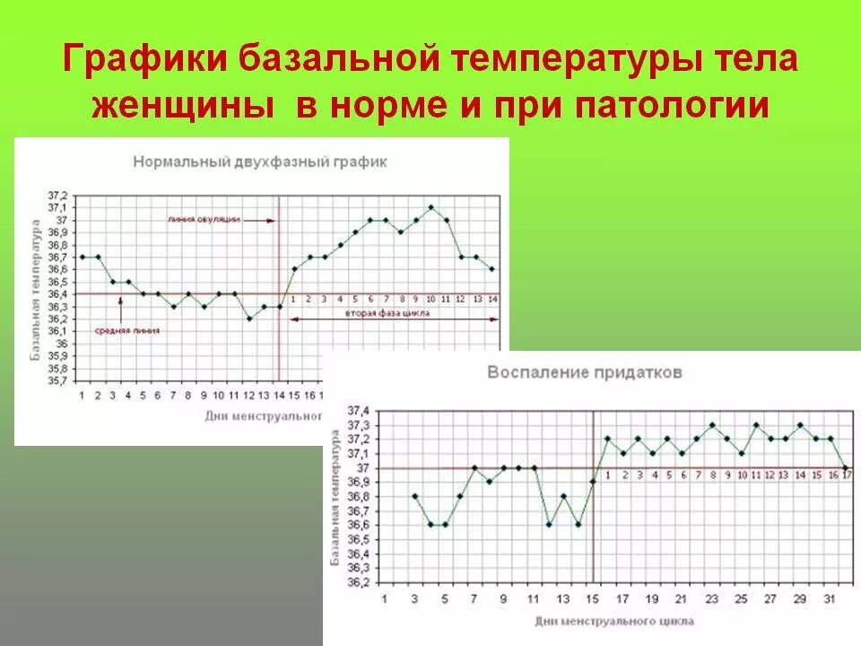 Норма ректально. График базальной температуры норма с примерами. Небеременный график базальная температура. Нормальный график базальной температуры с овуляцией. Нормальный двухфазный график базальной температуры.